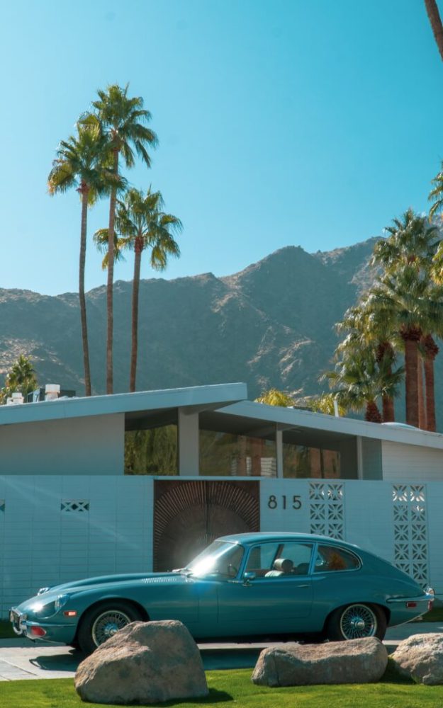 a car parked in front of a palm tree