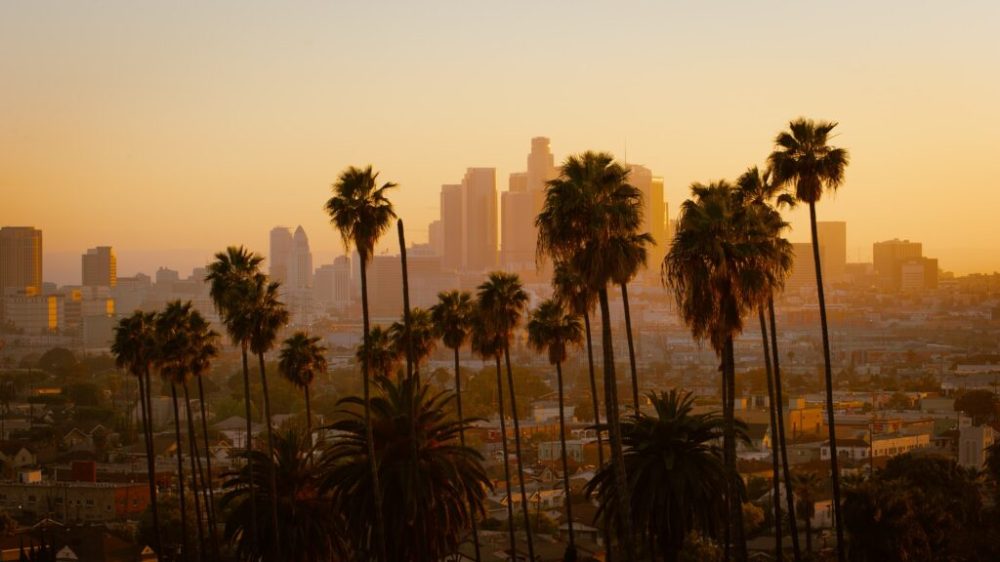 a group of palm trees with a sunset in the background