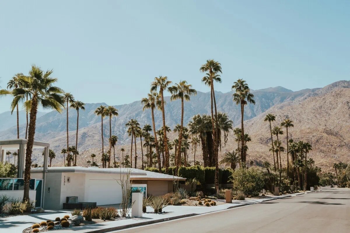 Palm-Springs-House a palm tree on a street